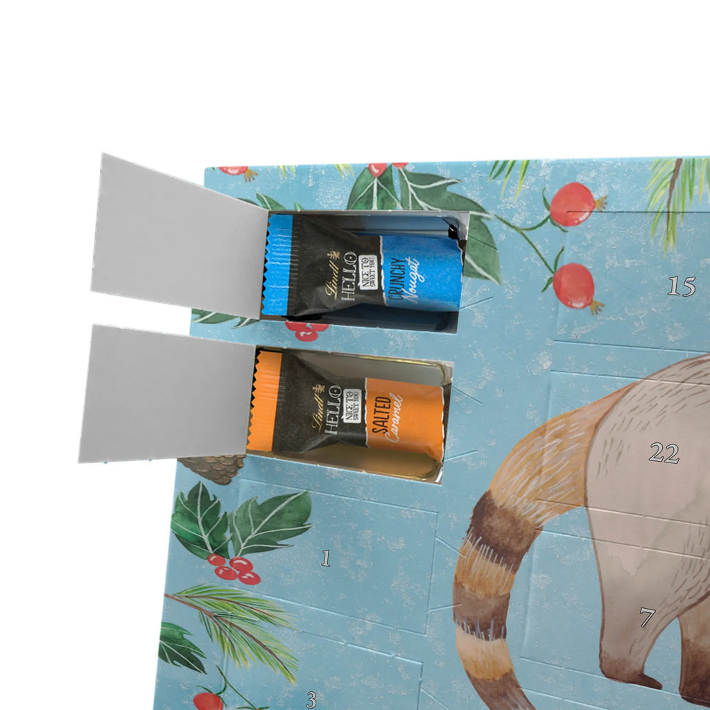 Chocolate advent calendar Coati gift ideas, gifts, small animals, good mood, cute, funny sayings, cute animal motives, hand drawn, special gifts, card, animal lover, Nose bear, trunk bear