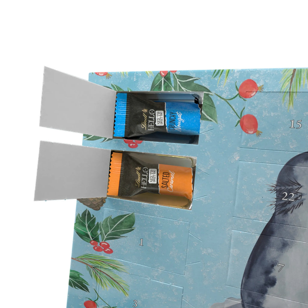 Chocolate advent calendar axolotl Love Mexican walking fish, Axelotl, marine animals, salamander, fiancé, amphibian, friend, husband, valentine's day, proof of love, anniversary, great love, tail