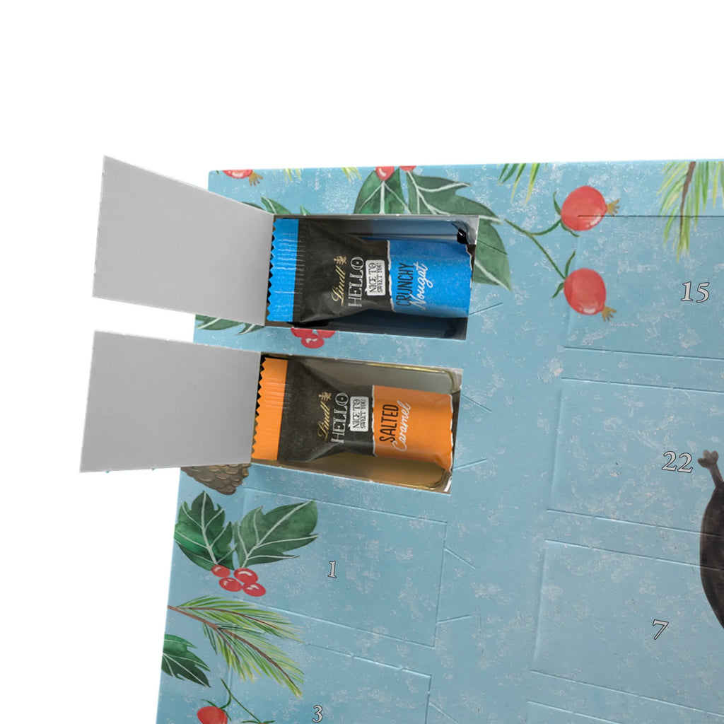 Chocolate advent calendar skunk handstand child, stink, playful, playground, wild animal, predator