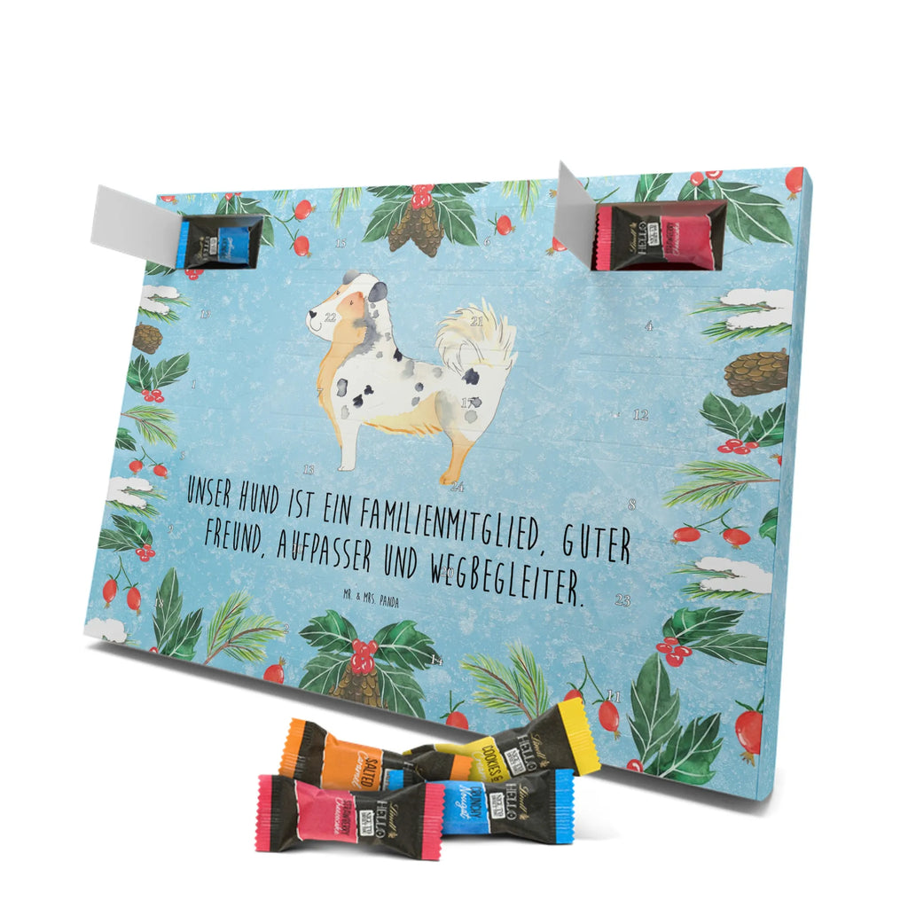 Chocolate advent calendar Dog Australia Shepherd mutt, dog sayings, love dogs, dog mama, funny gifts for dog owners, woof, what do you give a dog lover, dog breed, Christmas gifts for dogs, gifts for dogs, bag with dog print, love for dogs, hound, dog decorative items, Dog love, Australia Shepherd, Family dog, Saying, Sayings