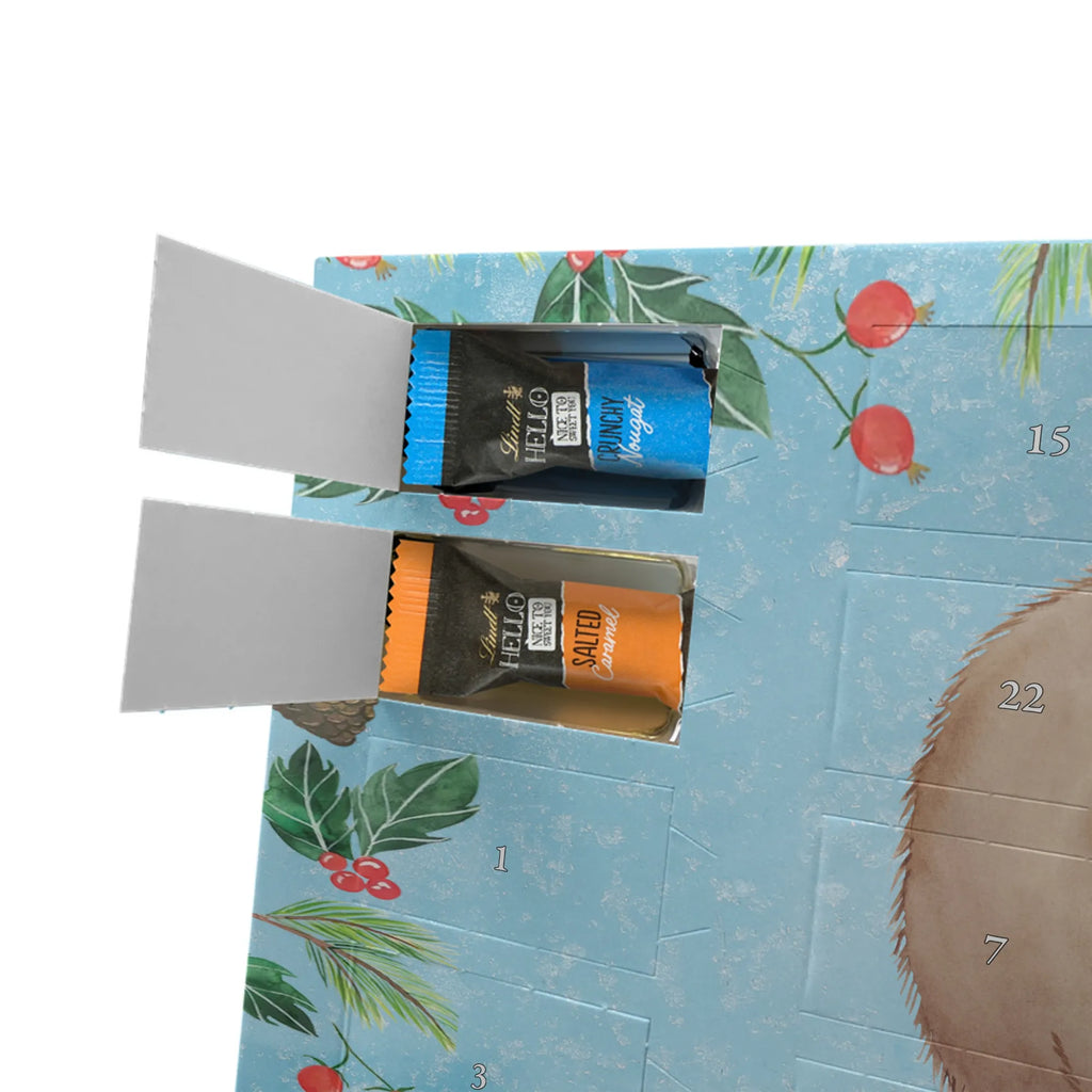 Chocolate advent calendar Wombat gift ideas, gifts, small animals, good mood, cute, funny sayings, cute animal motives, hand drawn, special gifts, card, animal lover, saying, life is beautiful, Australia