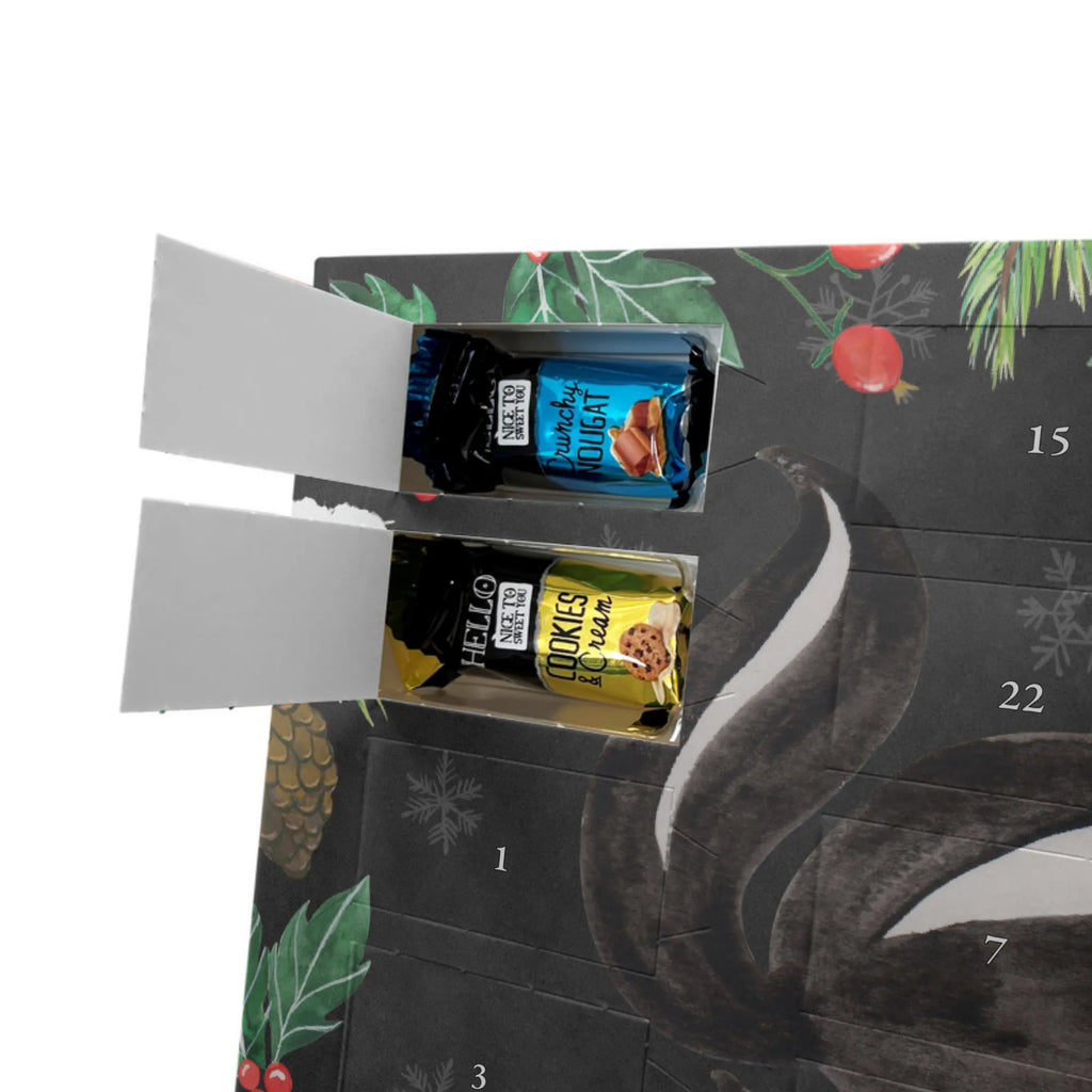 Chocolate advent calendar skunk yoga Stinky, Predator, Live, Wild animal, Laugh