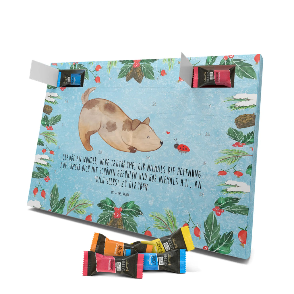 Chocolate advent calendar Dog ladybug mutt, dog sayings, love dogs, dog mama, funny gifts for dog owners, woof, what do you give a dog lover, dog breed, Christmas gifts for dogs, gifts for dogs, bag with dog print, love for dogs, hound, dog decorative items, Mongrel dog, Dog slogan, Ladybird, Sayings, Mongrel, Dogs