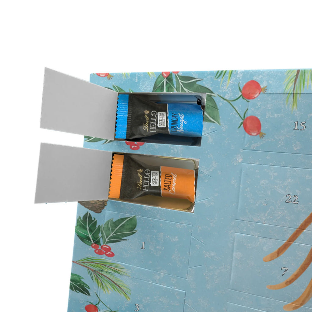 Chocolate advent calendar Spider Agathe Letter Spider, Spider Agathe