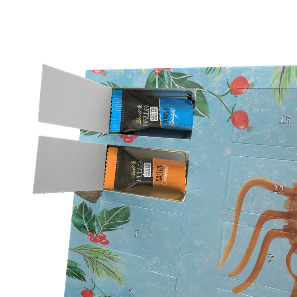 Chocolate advent calendar Spider Agathe Sandwich Spider, Spider Agathe