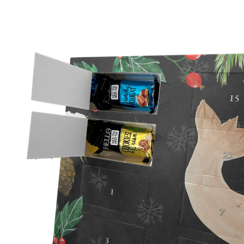 Schoko Adventskalender Robbe Liegen adventskalender pralinen, kalender schokolade, Schokoladen Adventskalender, schoko kalender, schokoladenkalender, Weihnachts Kalender, Schoko-Adventskalender, Weihnachten Adventskalender, weihnachtskalender schoko, schokolade adventskalender, pralinen adventskalender, Schoko Adventskalender, schokoladen kalender, adventskalender schoko, süßigkeiten kalender, süßigkeiten adventskalender, Schokoladen-Weihnachtskalender, schoko weihnachtskalender, Weihnachtskalender Schokolade, Adventskalender Schokolade, kalender weihnachten, Schokoladen-Adventskalender, Weihnachtskalender, schokokalender, Adventskalender, adventskalender süßigkeiten, Lustige Sprüche, Gute Laune, Tiermotive, Tiere, Nordsee, Meerestier, Ostsee, Robben, Robbe, Freude, Seehund, Lachen, Strand