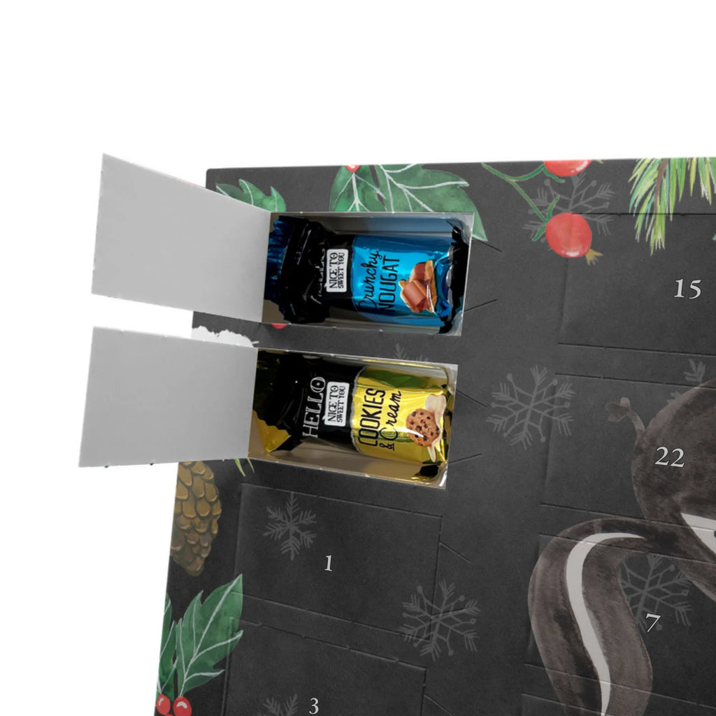 Chocolate advent calendar skunk ball wisdom, playful, predator, stinky, wild animal