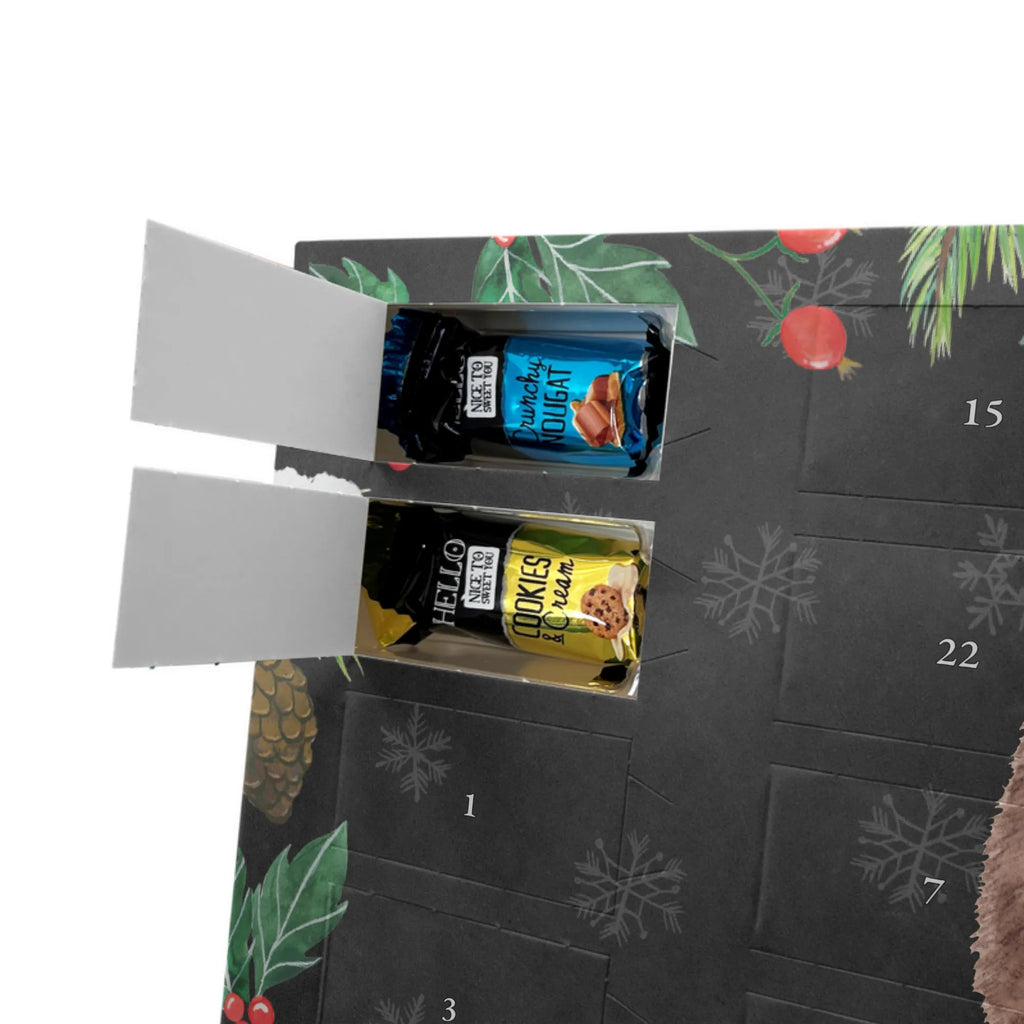 Adventskalender mit Namen Igel Kuchenstück Adventskalender mit Namen, Personalisierter Adventskalender, Tiere, Tiermotive, Lustige Sprüche, Gute Laune, Backen Geschenk, Essen Spruch, Kuchen, Torte, Geburtstagskuchen, Einladung Party, Igel, Kuchen Backen