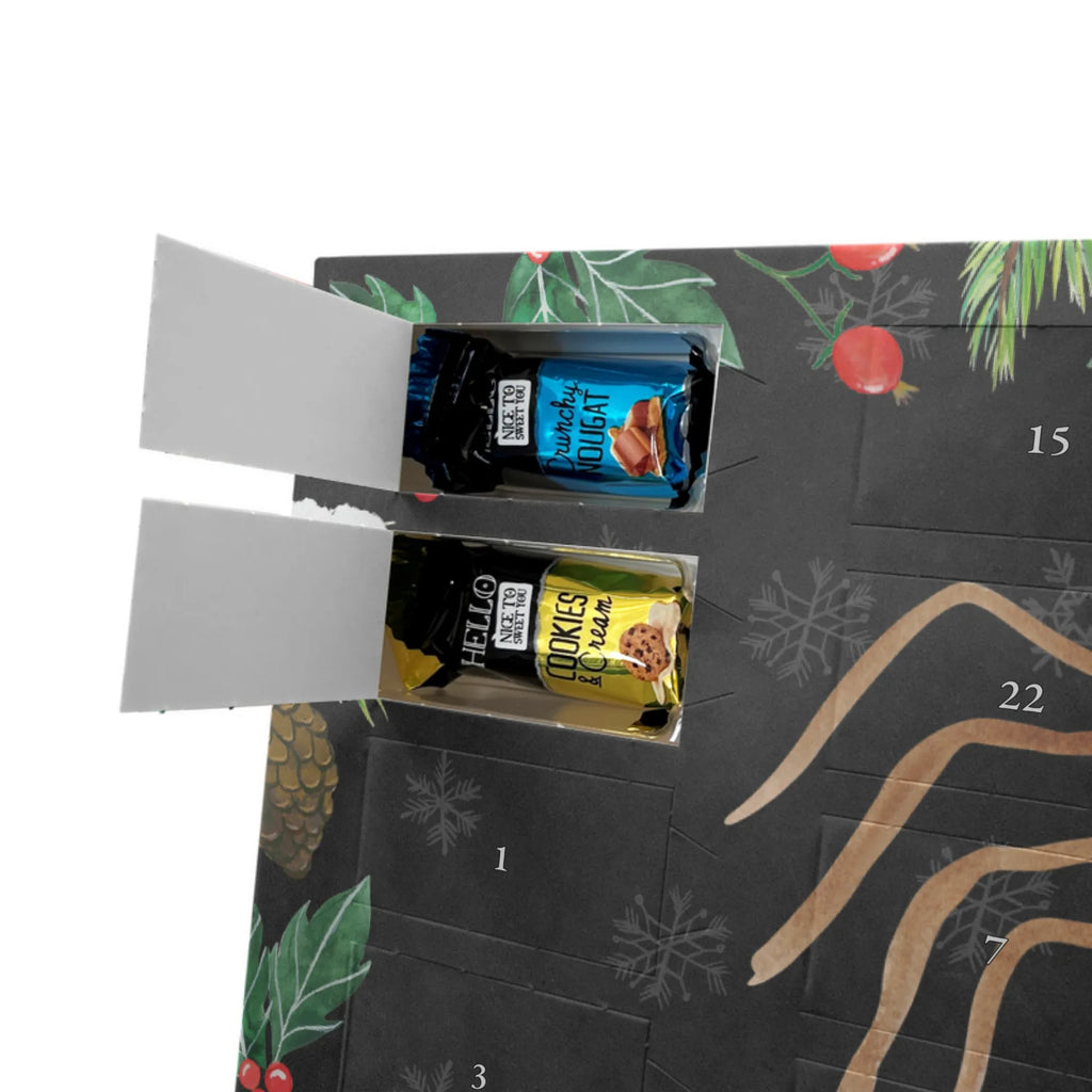  Spider Agathe Joy Spider Agathe, Spider