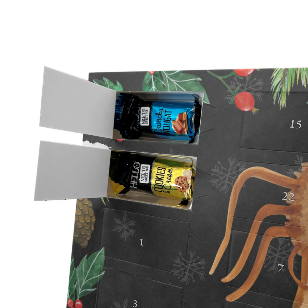 Adventskalender mit Namen Spinne Agathe Sandwich Adventskalender mit Namen, Personalisierter Adventskalender, Videos, Spinne, Merchandise, Spinne Agathe, Agathe, Hungrig, Hunger, Alles Wird gut, Lebensfreude, Glück, Verfressen, Mut