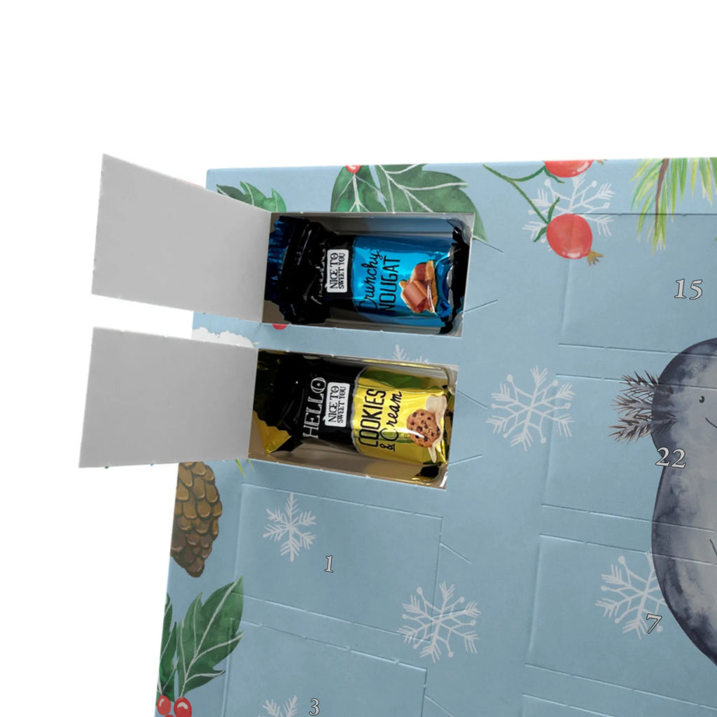  axolotl Girlfriend salamander, Axelotl, marine animals, Mexican walking fish, anniversary, fiancé, tail, friend, amphibian, valentine's day, great love, proof of love, husband