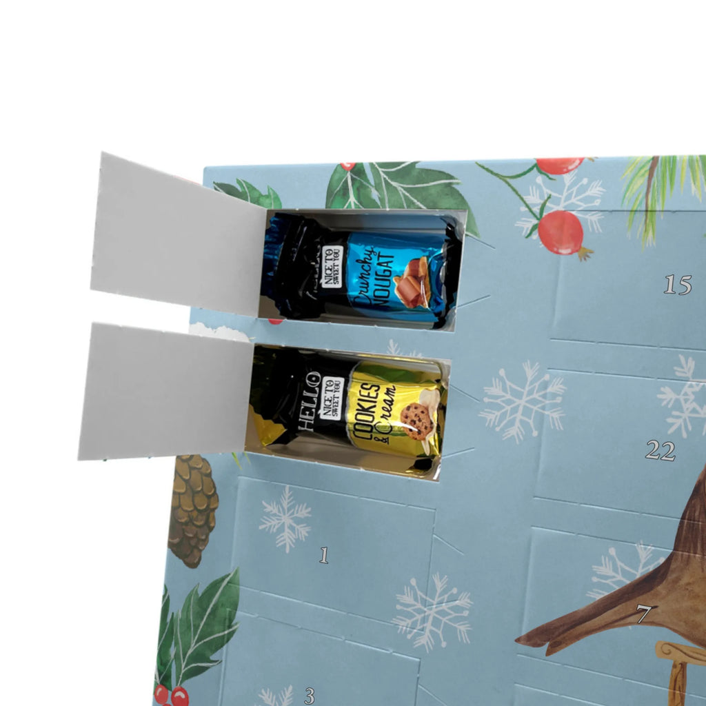  robin Sleds snow, Christmas time, bird, sleigh