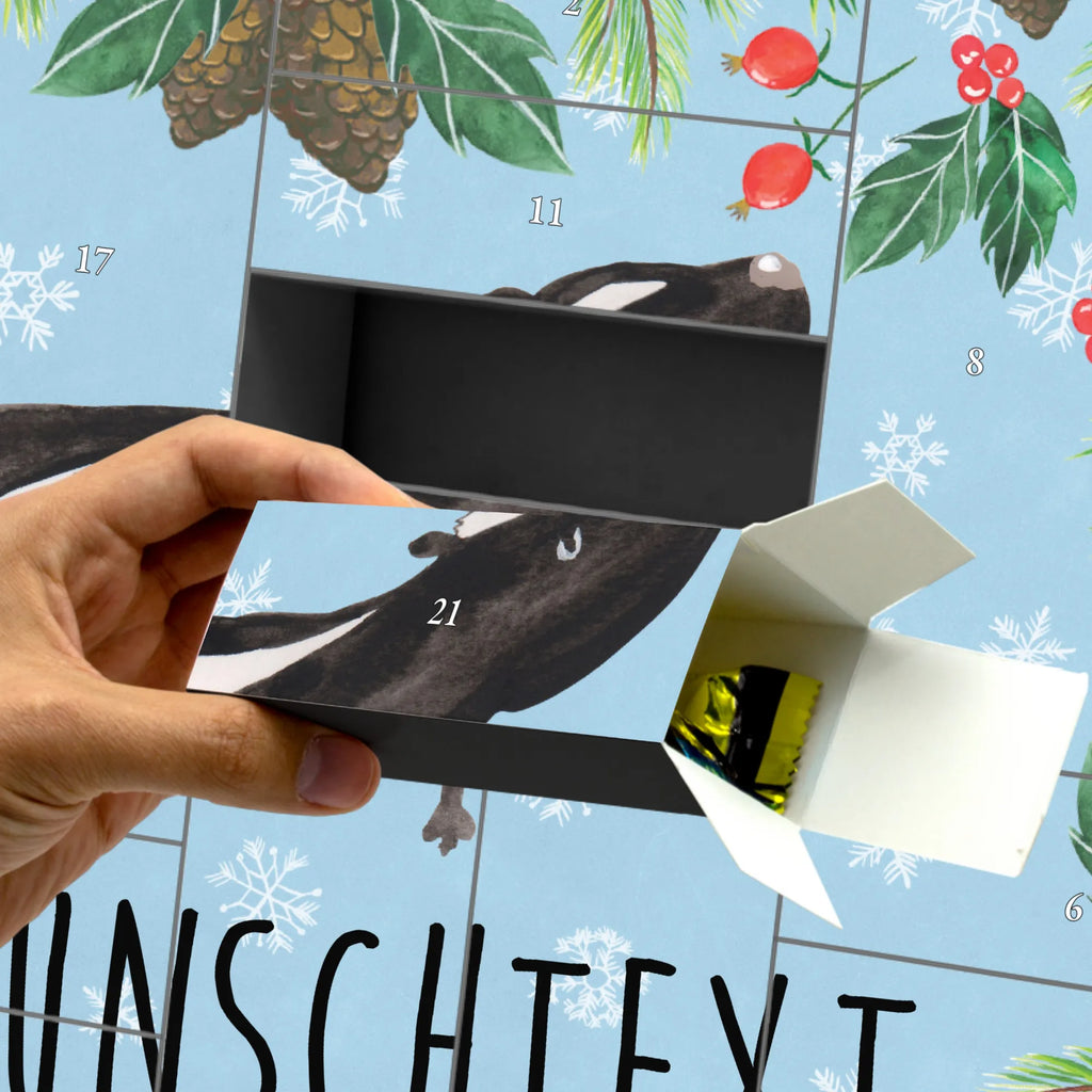  skunk yoga Live, Predator, Wild animal, Stinky, Laugh