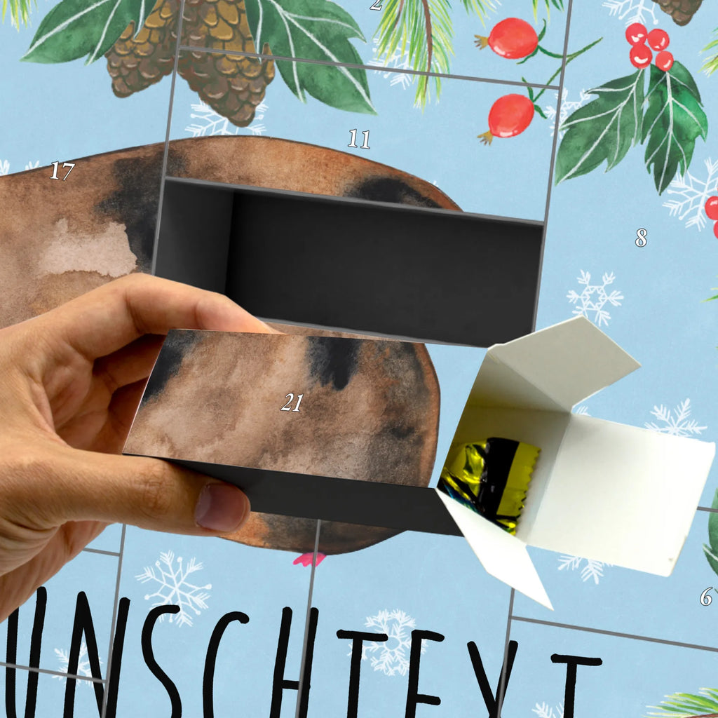  unicorn Guinea pig squirrels, guinea pig