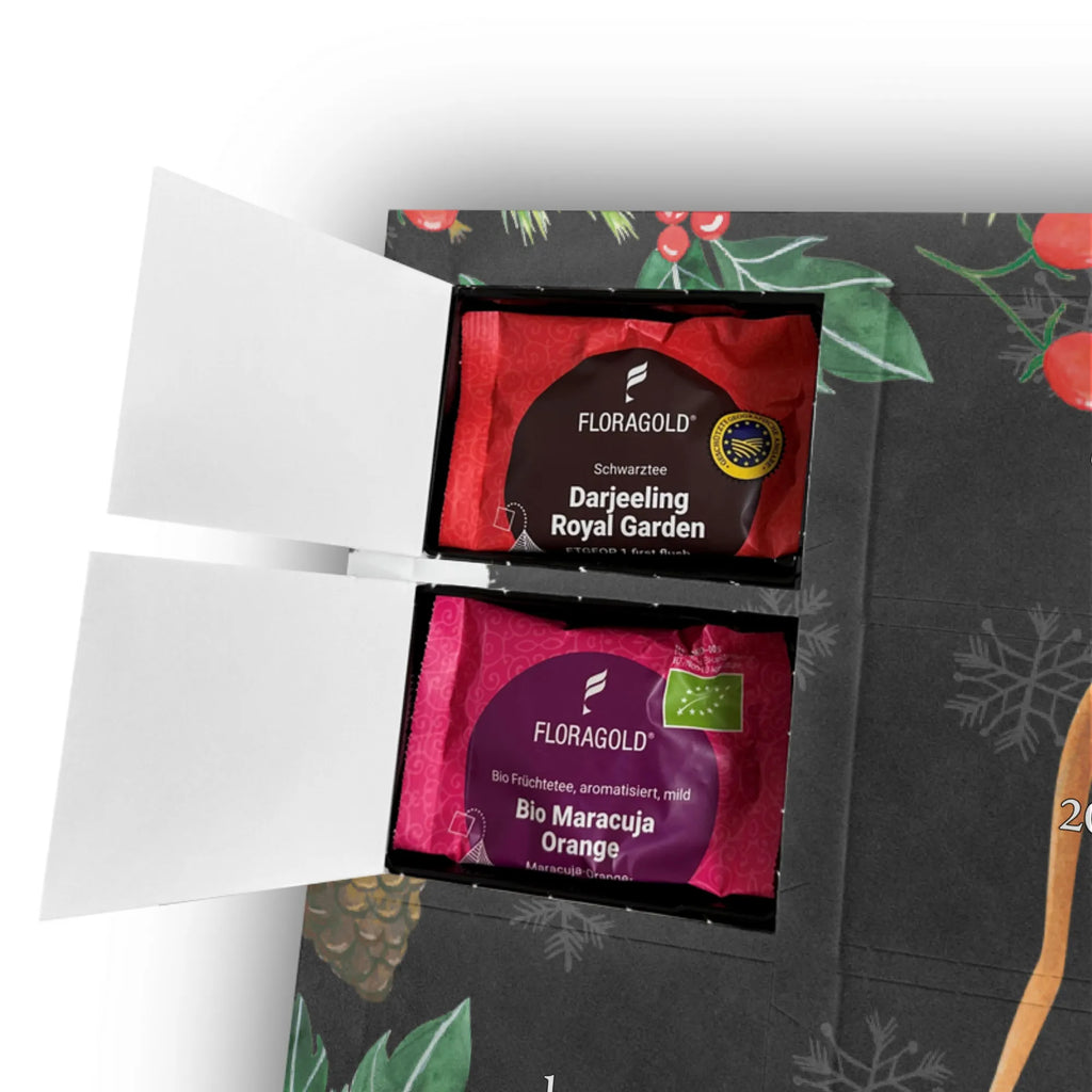  Spider Agathe Sandwich Spider Agathe, Spider