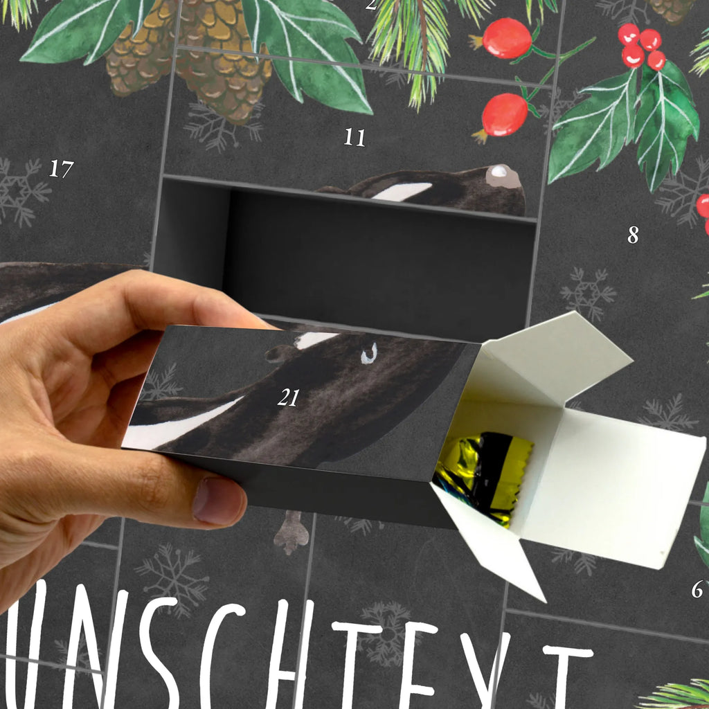  skunk yoga Live, Predator, Wild animal, Stinky, Laugh