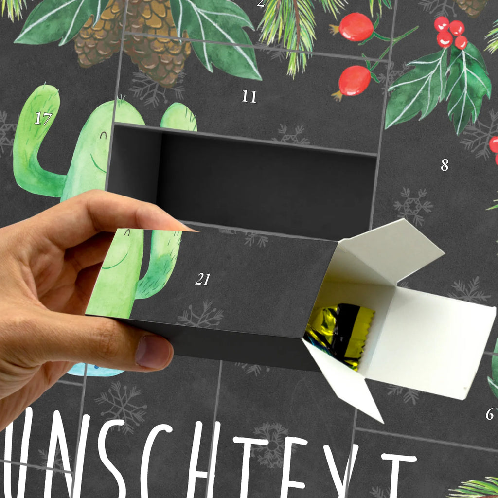  kaktus Szczęśliwy Kaktusy