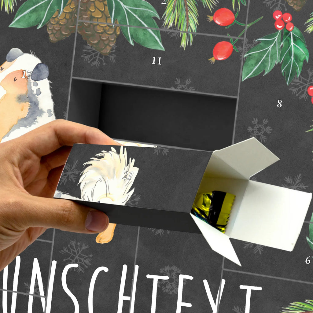 Personalisierter Befüllbarer Adventskalender Hund Australien Shepherd Adventskalender Zum Selbst Befüllen, Befüllbarer Adventskalender, Hunderasse, Tierliebhaber, Hundemotiv, Haustier, Hundebesitzer, Hund, Sprüche, Shepherd, Spruch, Australien Shepherd, Familienhund, Hundeliebe