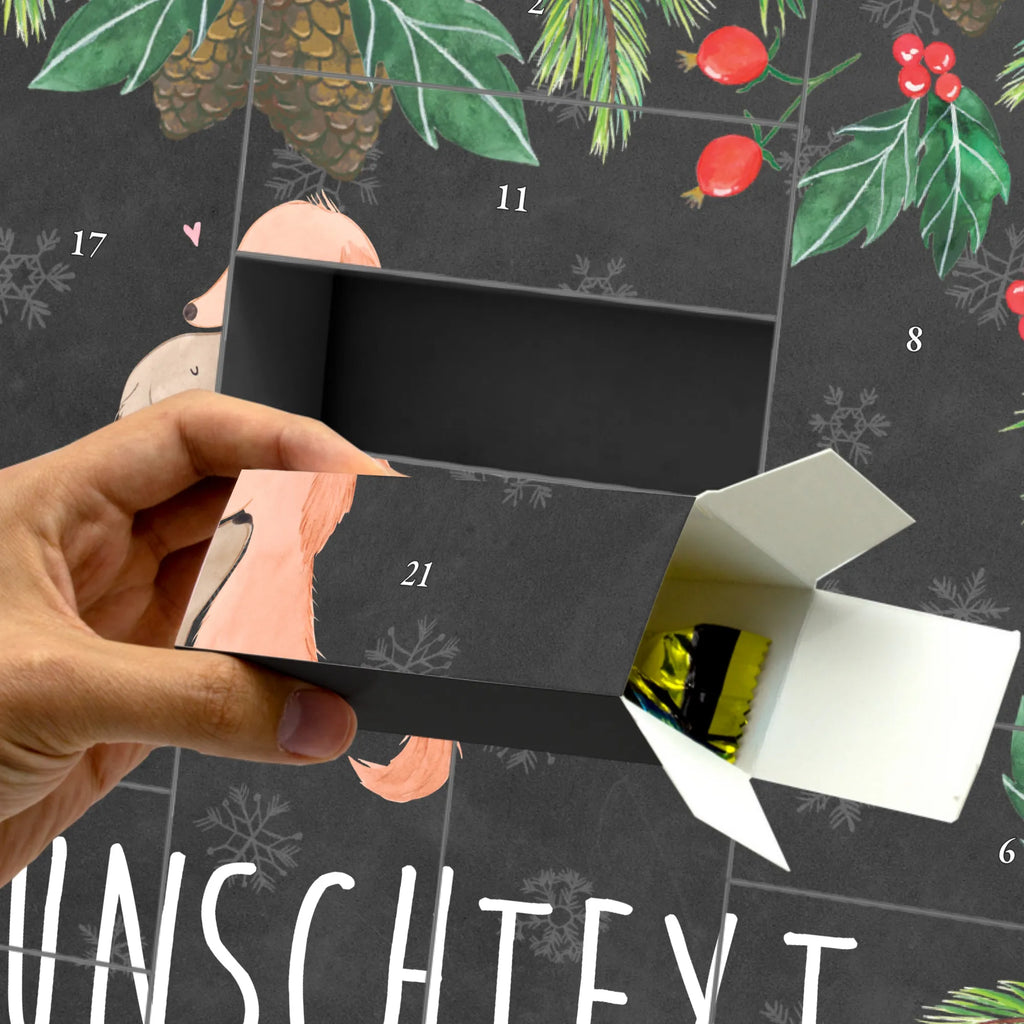 Personalisierter Befüllbarer Adventskalender Hunde Liebe Adventskalender Zum Selbst Befüllen, Befüllbarer Adventskalender, Hunderasse, Tierliebhaber, Hundemotiv, Haustier, Hundebesitzer, Hund, Sprüche, Kuscheln, Hund. Hunde, Kuss, Liebe, Vertrauen, Herz