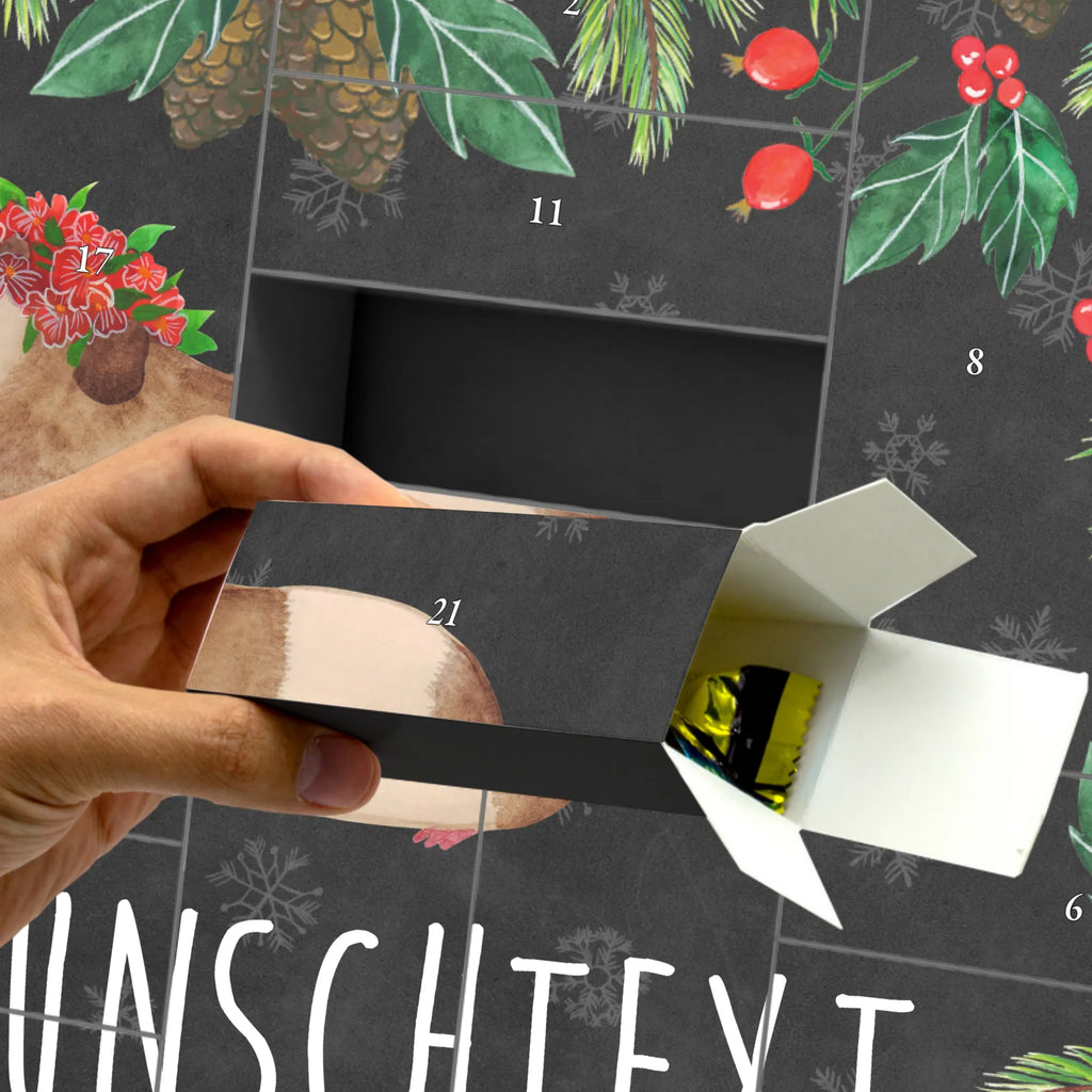 Personalisierter Befüllbarer Adventskalender Meerschweinchen Weisheit Befüllbarer Adventskalender, Adventskalender Zum Selbst Befüllen, Tiermotive, Tiere, Gute Laune, Lustige Sprüche, Weisheit, Spruch, Motivation, Realität, Wunderland, Wunder, Meerie, Meerschweinchen, Meeries, Blumenkind