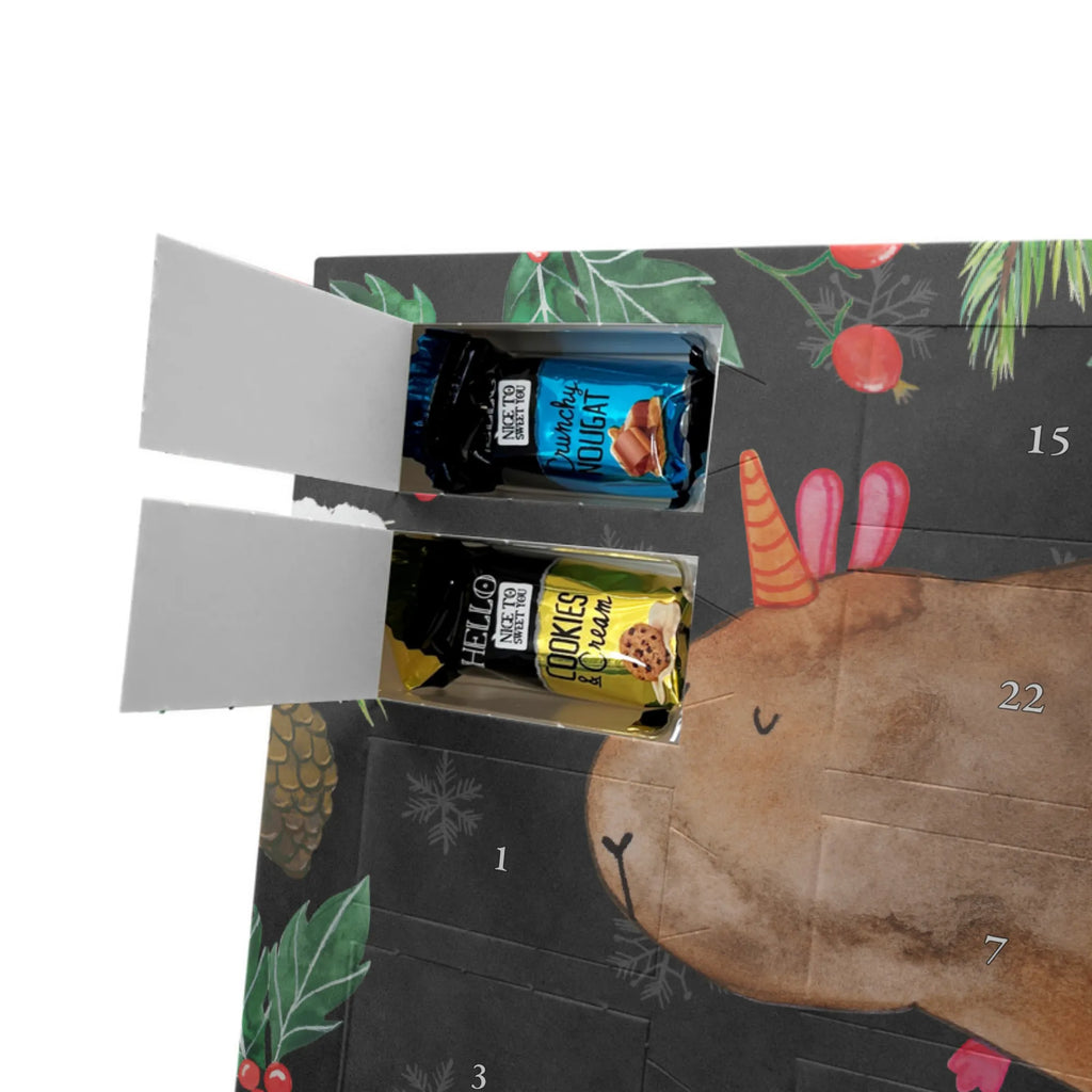 Chocolate advent calendar unicorn Guinea pig guinea pig, squirrels