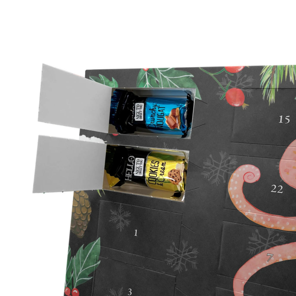 Schokoladen-Adventskalender Tintenfisch Schokoladen-Weihnachtskalender, schoko kalender, weihnachtskalender schoko, Adventskalender Schokolade, süßigkeiten kalender, kalender weihnachten, kalender schokolade, Schokoladen Adventskalender, schokoladenkalender, pralinen adventskalender, schokoladen kalender, Weihnachtskalender Schokolade, Schoko-Adventskalender, schokolade adventskalender, Weihnachts Kalender, Schoko Adventskalender, schoko weihnachtskalender, Weihnachtskalender, Schokoladen-Adventskalender, süßigkeiten adventskalender, Weihnachten Adventskalender, schokokalender, adventskalender süßigkeiten, Adventskalender, adventskalender schoko, adventskalender pralinen, Lustige Sprüche, Gute Laune, Tiermotive, Tiere, Meerestier, Arme, Krake, Tintenfisch, Wasser, Ozean, Meer