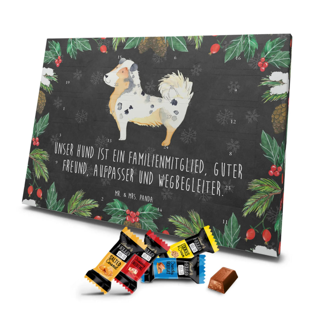 Chocolate advent calendar Dog Australia Shepherd mutt, dog sayings, love dogs, dog mama, funny gifts for dog owners, woof, what do you give a dog lover, dog breed, Christmas gifts for dogs, gifts for dogs, bag with dog print, love for dogs, hound, dog decorative items, Dog love, Australia Shepherd, Family dog, Saying, Sayings