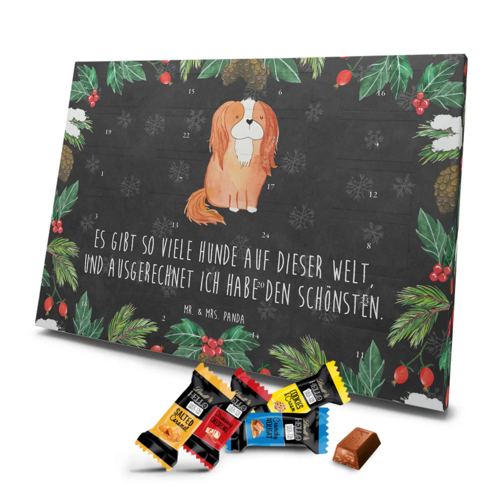 süßigkeiten adventskalender Hund Cavalier King Charles Spaniel Schokoladen-Adventskalender, kalender schokolade, süßigkeiten adventskalender, Weihnachtskalender, Schoko-Adventskalender, pralinen adventskalender, süßigkeiten kalender, Weihnachtskalender Schokolade, Schokoladen Adventskalender, adventskalender schoko, schoko kalender, Schokoladen-Weihnachtskalender, Weihnachts Kalender, schokoladenkalender, schokoladen kalender, adventskalender süßigkeiten, adventskalender pralinen, schokolade adventskalender, Adventskalender Schokolade, kalender weihnachten, Weihnachten Adventskalender, weihnachtskalender schoko, Adventskalender, schoko weihnachtskalender, schokokalender, Schoko Adventskalender, Tierliebhaber, Hundebesitzer, Hunderasse, Haustier, Hund, Sprüche, Hundemotiv, Spaniel, Spruch, Cavalier King Charles Spaniel, Cockerspaniel, Schönster Hund