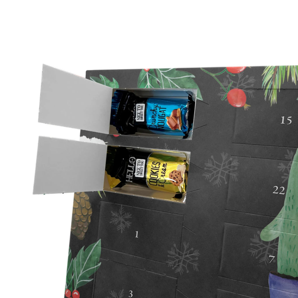 Chocolate advent calendar cactus Love cactus, cactuses, plants, small green cactus, cactus plant, couple, friendship, reconciliation, cactus love, proof of love, quarrel, love message, separation, wedding