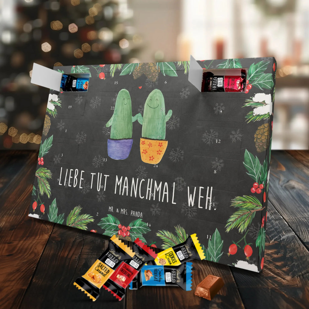 Chocolate advent calendar cactus Love cactus, cactuses, plants, small green cactus, cactus plant, couple, friendship, reconciliation, cactus love, proof of love, quarrel, love message, separation, wedding