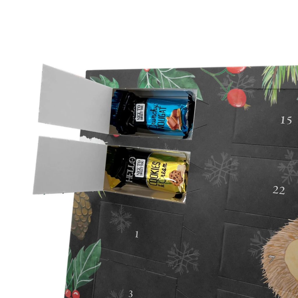 Chocolate advent calendar Hedgehog Pray gift ideas, gifts, small animals, good mood, cute, funny sayings, cute animal motives, hand drawn, special gifts, card, animal lover, pray, God, sun hat, enjoy, hedgehog with hat, gratitude, be grateful