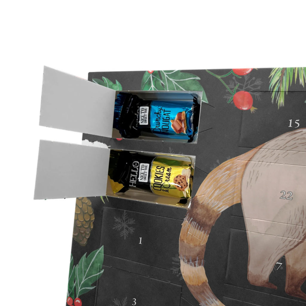 Chocolate advent calendar Coati gift ideas, gifts, small animals, good mood, cute, funny sayings, cute animal motives, hand drawn, special gifts, card, animal lover, Nose bear, trunk bear