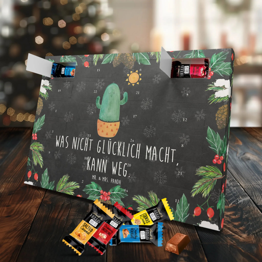  Kaktus Słońce Kaktusy