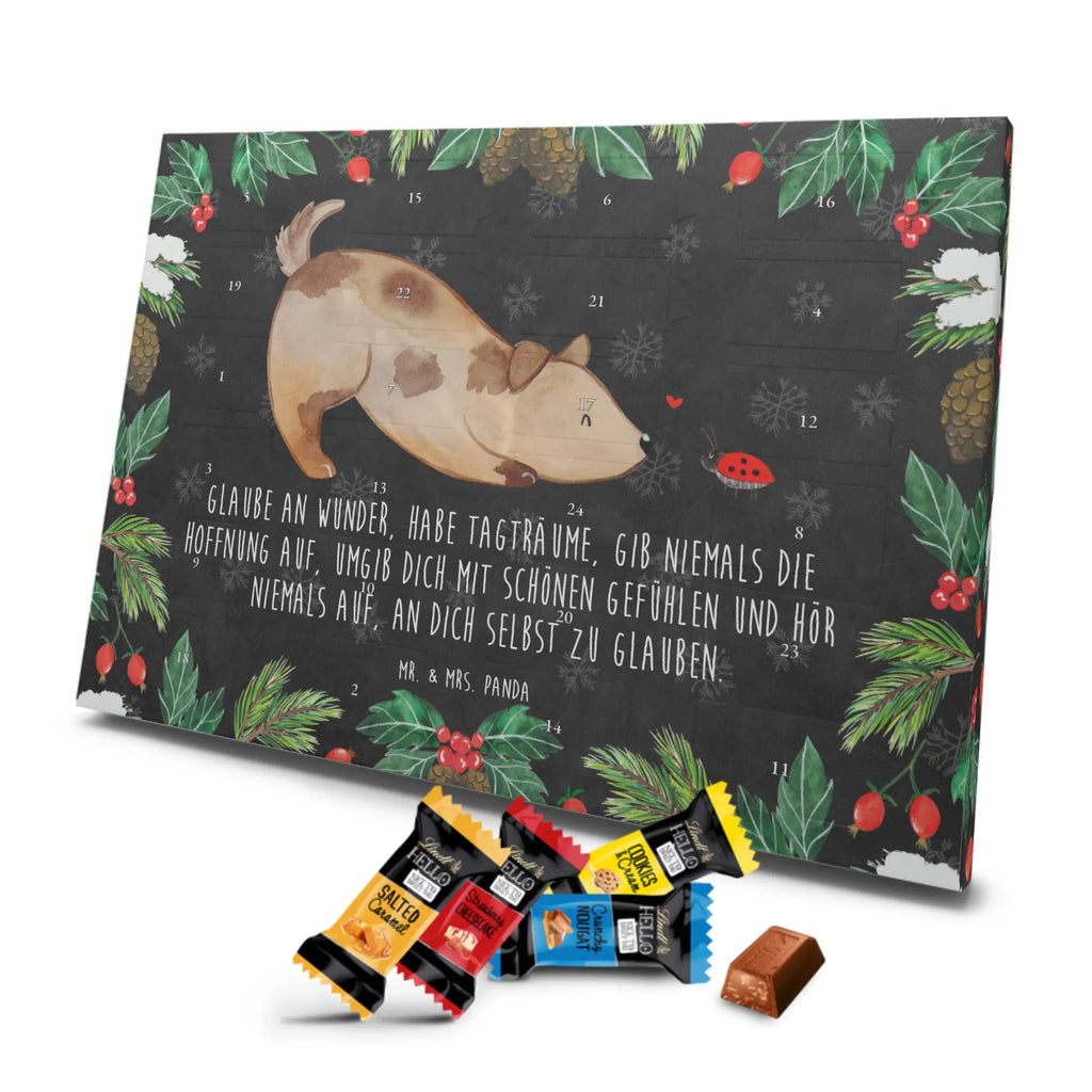 Chocolate advent calendar Dog ladybug mutt, dog sayings, love dogs, dog mama, funny gifts for dog owners, woof, what do you give a dog lover, dog breed, Christmas gifts for dogs, gifts for dogs, bag with dog print, love for dogs, hound, dog decorative items, Mongrel dog, Dog slogan, Ladybird, Sayings, Mongrel, Dogs