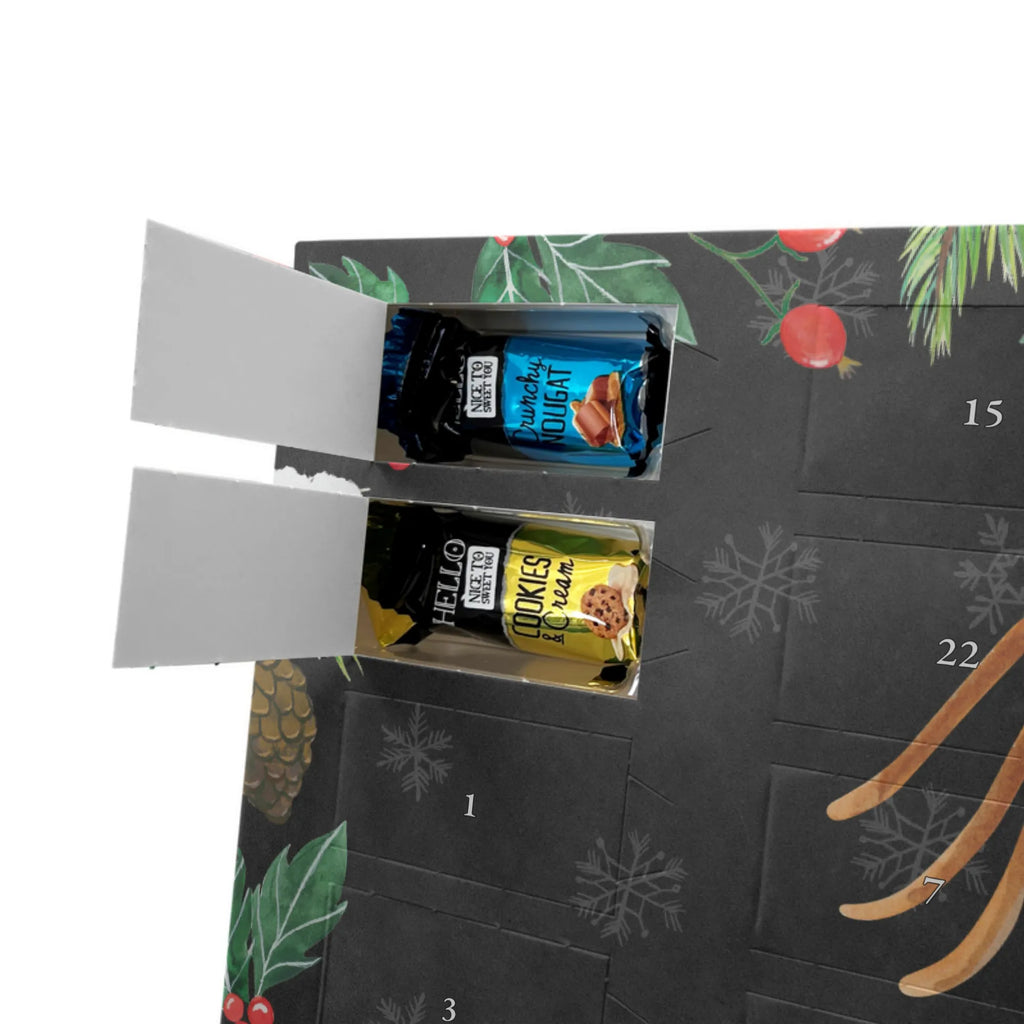 Chocolate advent calendar Spider Agathe Letter Spider, Spider Agathe