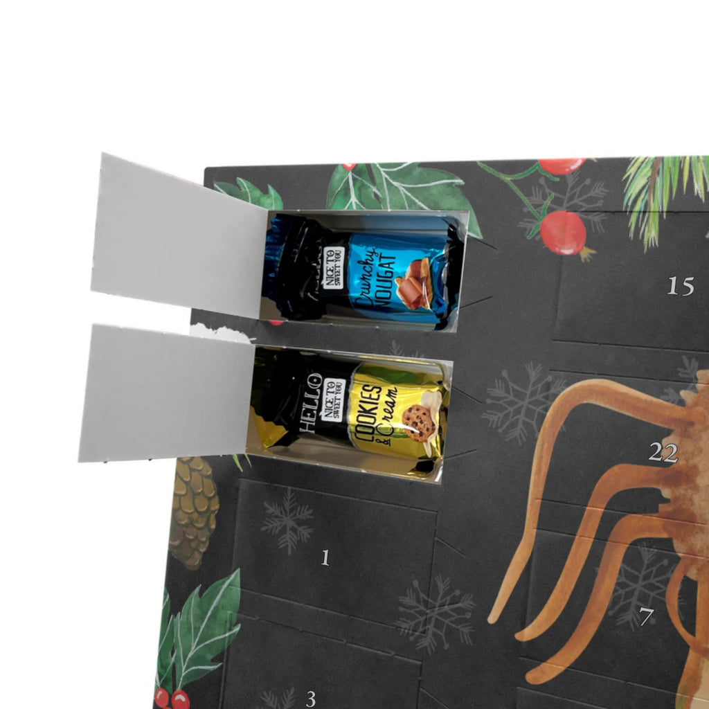  Pająk Agata kanapka Filmy, Towary, Pająk, Pająk Agathe