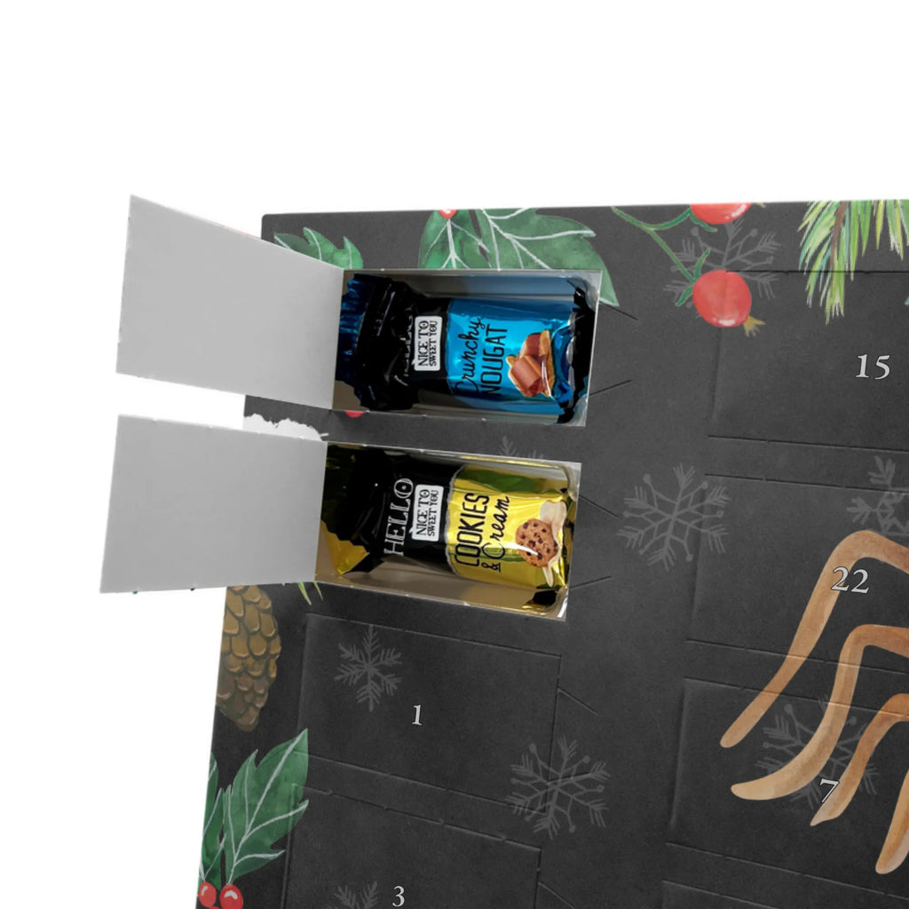 Chocolate advent calendar Spider Agathe Teddy Spider, Spider Agathe