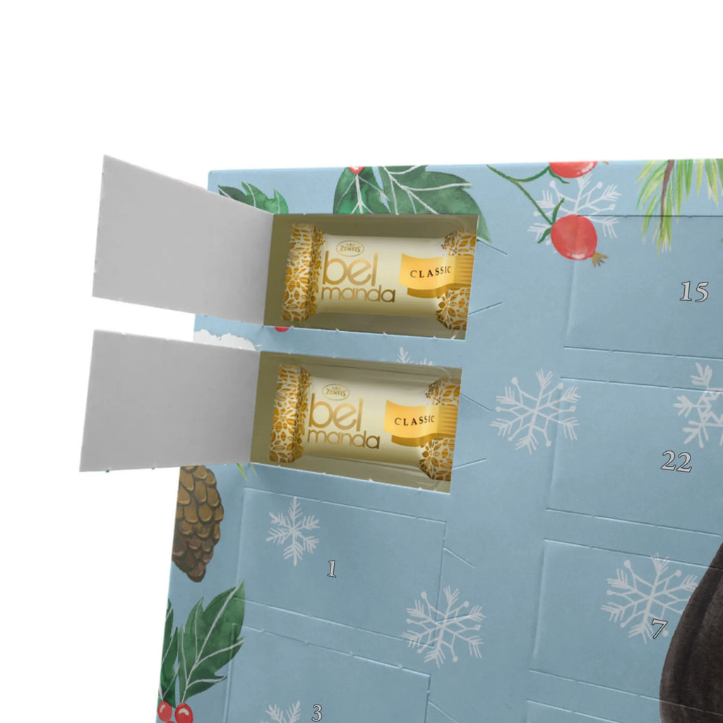 Marzipan Adventskalender Stinktier Sitzen Marzipan Adventskalender, Stinktier, Skunk, Recht, Raubtier, Stinker, Büro, Wildtier, Besserwisser, Stinki, Spruch