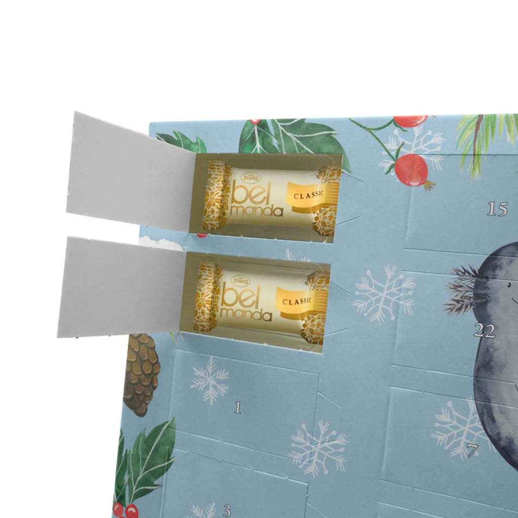 Marzipan Adventskalender Axolotl Freundin Marzipan Adventskalender, Axolotl, Molch, Freund, Jahrestag, Liebesbeweis, große Liebe, Liebe, Axolot, Lurche, Valentinstag, Schwanzlurch, Lurch, Ehemann, Verlobter