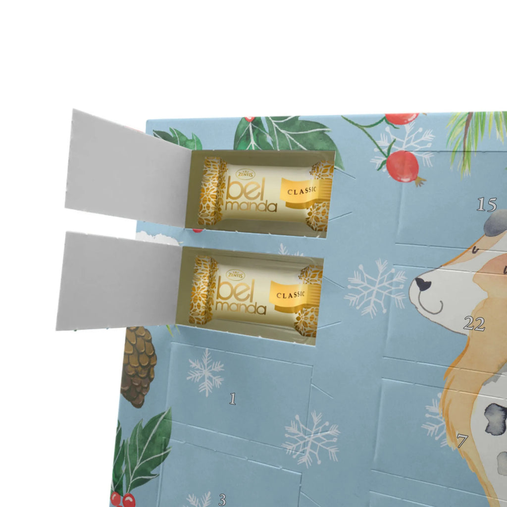 Marzipan Adventskalender Hund Australien Shepherd Marzipan Adventskalender, Hund, Hundemotiv, Haustier, Hunderasse, Tierliebhaber, Hundebesitzer, Sprüche, Familienhund, Australien Shepherd, Spruch, Shepherd, Hundeliebe