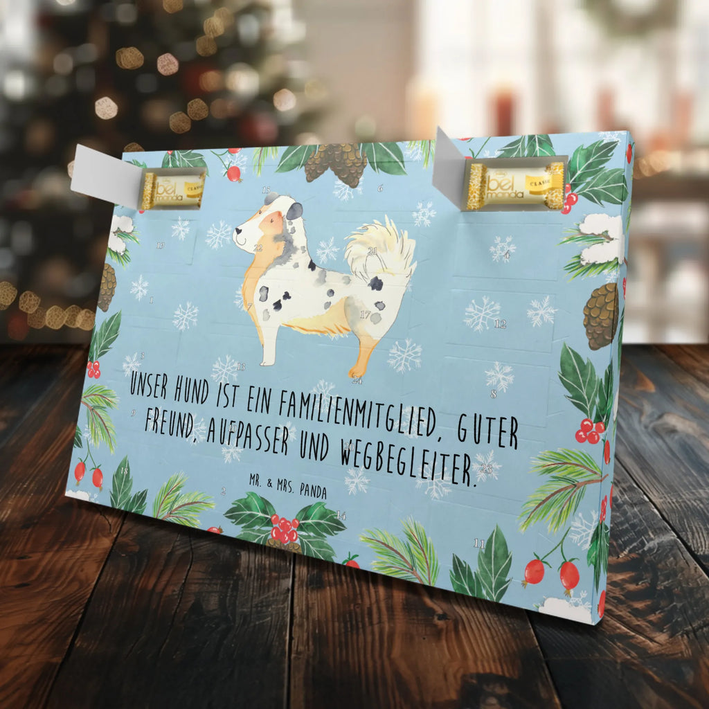 Marzipan Adventskalender Hund Australien Shepherd Marzipan Adventskalender, Hund, Hundemotiv, Haustier, Hunderasse, Tierliebhaber, Hundebesitzer, Sprüche, Familienhund, Australien Shepherd, Spruch, Shepherd, Hundeliebe