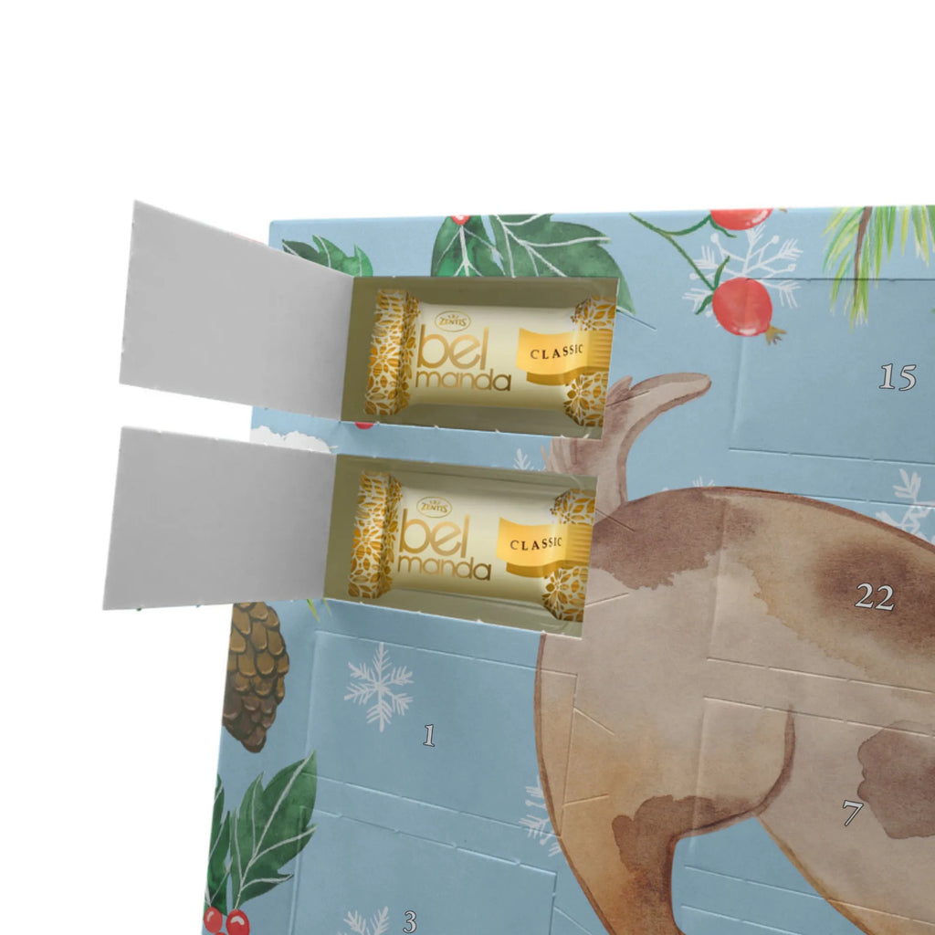 Marzipan Adventskalender Hund Marienkäfer Marzipan Adventskalender, Hund, Hundemotiv, Haustier, Hunderasse, Tierliebhaber, Hundebesitzer, Sprüche, Hunde, Marienkäfer, Mischlinghund, Mischling, Hundespruch