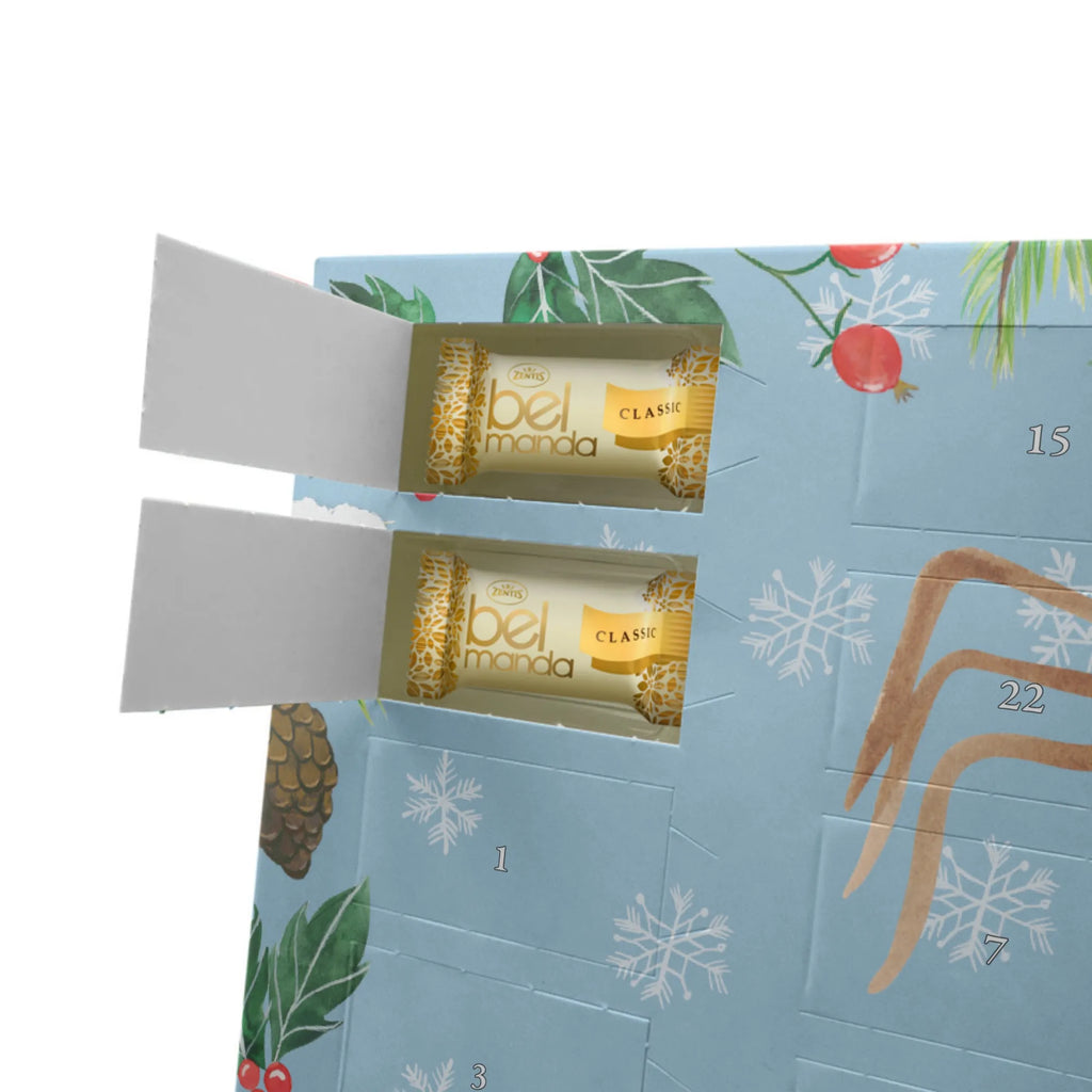 Marzipan Adventskalender Spinne Agathe Kaffee Marzipan Adventskalender, Spinne Agathe, Spinne, Agathe, Videos, Merchandise, Morgenmuffel, Morgen, Weiser Spruch, Kaffee, Lebensweisheiten