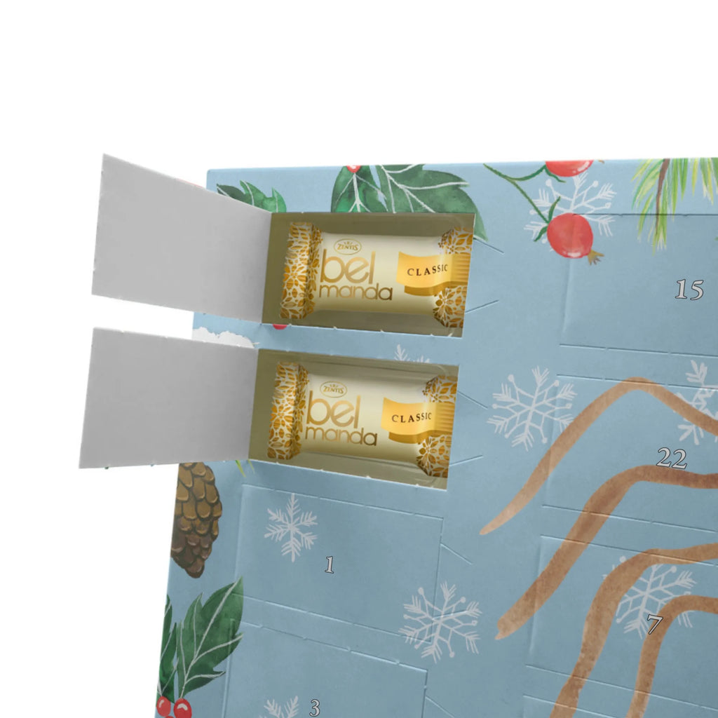 Marzipan Adventskalender Spinne Agathe Freude Marzipan Adventskalender, Spinne Agathe, Spinne, Agathe, Videos, Merchandise, Viraler Hit, Trend, Beliebte Spinne, Viral