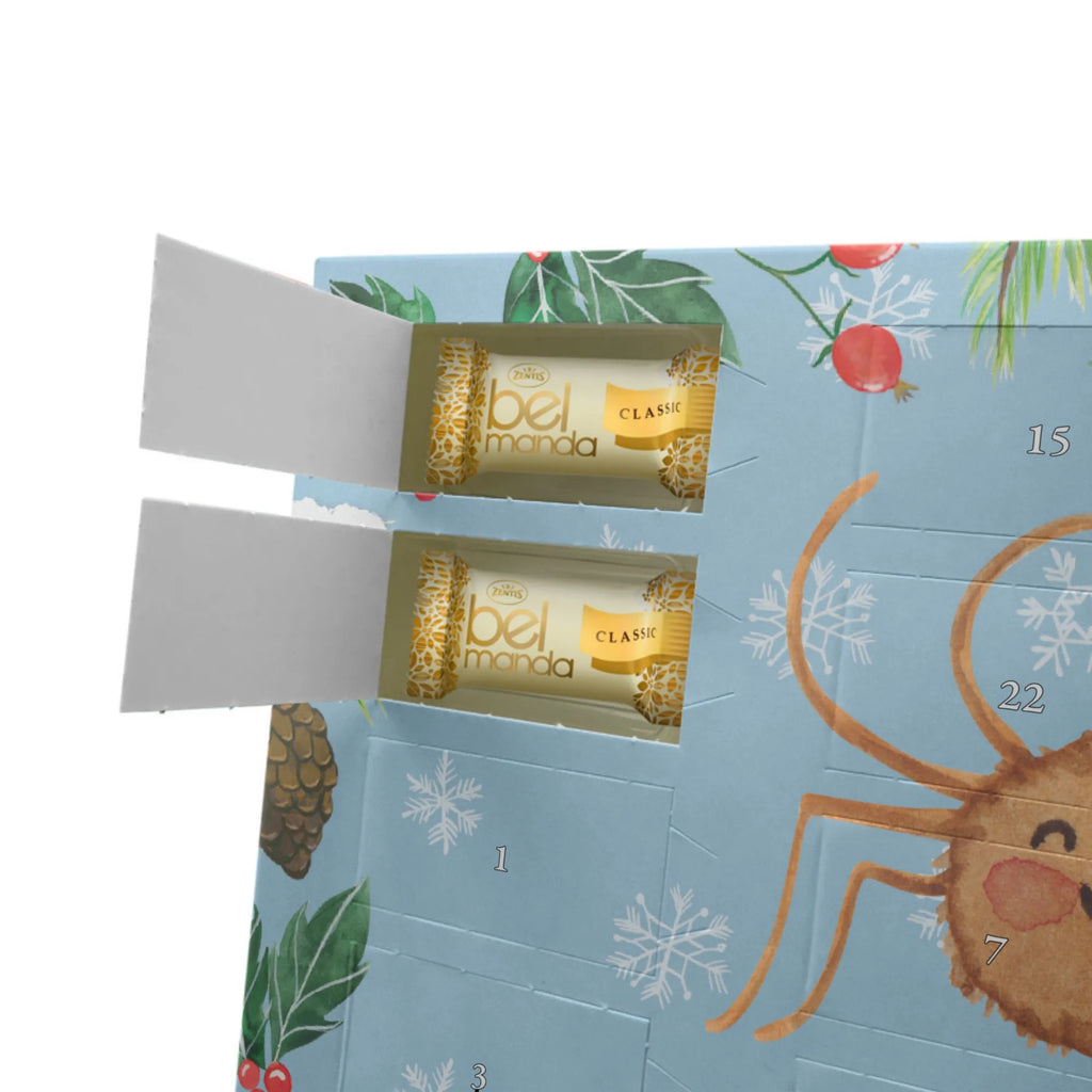 Marzipan Adventskalender Spinne Agathe Motivation Marzipan Adventskalender, Spinne Agathe, Spinne, Agathe, Videos, Merchandise, Liebe, Dankeschön, Motivation, Glück, Vertrauen