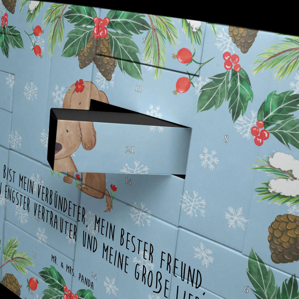  pies Dama Pies, właściciel psa, rasa psa, miłośnik zwierząt, zwierzę domowe, motyw psa, powiedzenia