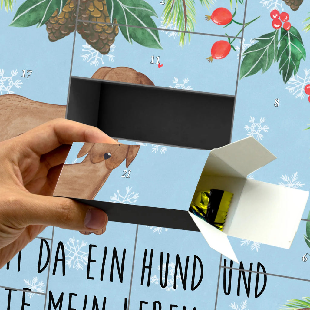 Fillable advent calendar Dog mastiff dog breed, hound, bag with dog print, mutt, what do you give a dog lover, dog mama, Christmas gifts for dogs, dog decorative items, funny gifts for dog owners, dog sayings, love dogs, woof, love for dogs, gifts for dogs, Dogs