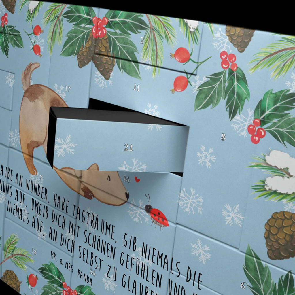 Fillable advent calendar Dog ladybug dog breed, hound, bag with dog print, mutt, what do you give a dog lover, dog mama, Christmas gifts for dogs, dog decorative items, funny gifts for dog owners, dog sayings, love dogs, woof, love for dogs, gifts for dogs, Dogs, Mongrel, Mongrel dog, Sayings, Ladybird, Dog slogan