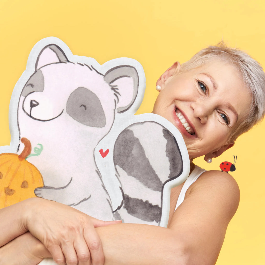 Poduszka dla zwierząt szop pracz dynia Halloween, dekoracje, Martinssingen, dekoracja, prezenty, dawanie