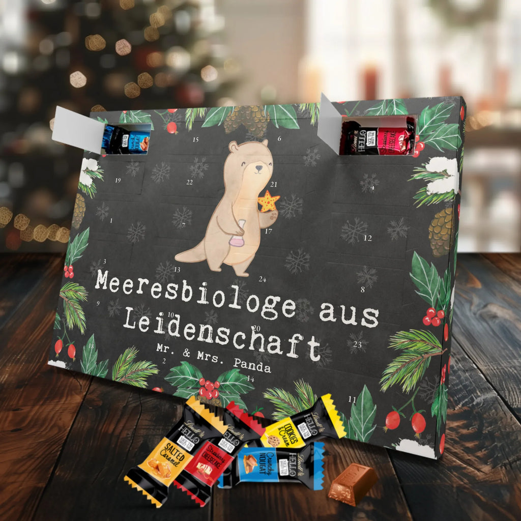 Adventskalender Meeresbiologe Leidenschaft Schokoladen Adventskalender, adventskalender süßigkeiten, adventskalender mit süßigkeiten, Adventskalender, schoko weihnachtskalender, Schoko Adventskalender, adventskalender pralinen, süßigkeiten adventskalender, schoko kalender, schokolade adventskalender, kalender schokolade, schokokalender, Adventskalender Schokolade, Weihnachtskalender, schokoladenkalender, süßigkeiten kalender, weihnachtskalender schoko, adventskalender mit schokolade, Weihnachtskalender Schokolade, pralinen adventskalender, advent kalender, schokoladen kalender, adventskalender mit pralinen, Danke, Schenken, Dankeschön, Firma, Mitarbeiter, Arbeitskollege, Kollegin, Kollege, Rente, Geschenk, Beruf, Abschied, Ausbildung, Jubiläum, Meeresbiologe, Studium, Maritime Forschung, Naturwissenschaftler, Meeresforscher, Meereskundler